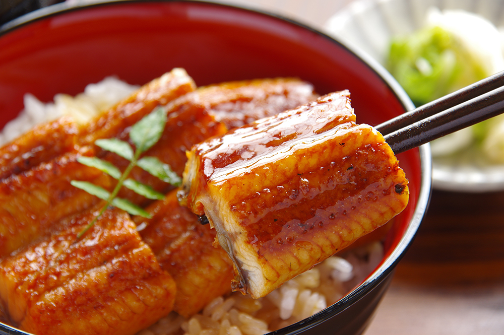 食欲が落ちがちな夏におすすめのメニュー